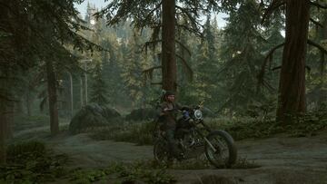 Days Gone